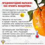 Как выбрать сладкие мандарины и сохранить их до праздников: советы роспотребнадзора