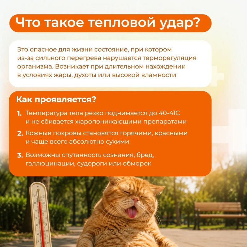 С наступлением тепла многие отправляются отдыхать к воде и загорать на солнце С наступлением тепла многие отправляются отдыхать к воде и загорать на солнце