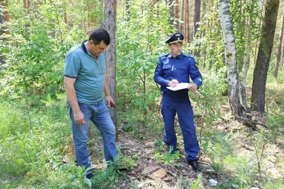 Прокуратура Радищевского района Ульяновской области проводит проверку исполнения законодательства в сфере лесопользования и охраны лесов от пожаров Прокуратура Радищевского района Ульяновской области проводит проверку исполнения законодательства в сфере лесопользования и охраны лесов от пожаров