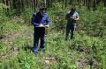 Прокуратура Радищевского района Ульяновской области проводит проверку исполнения законодательства в сфере лесопользования и охраны лесов от пожаров