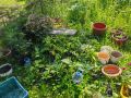 Дача: место труда и отдыха в гармонии с природой