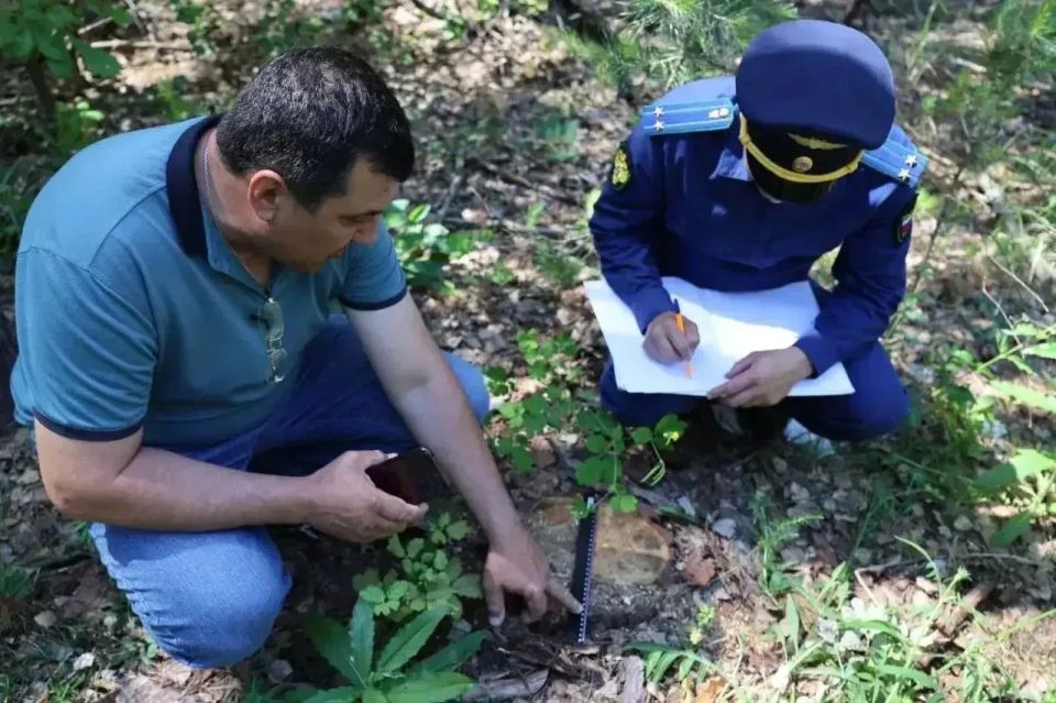 Прокуратура Радищевского района Ульяновской области проводит проверку исполнения законодательства в сфере лесопользования и охраны лесов от пожаров Прокуратура Радищевского района Ульяновской области проводит проверку исполнения законодательства в сфере лесопользования и охраны лесов от пожаров