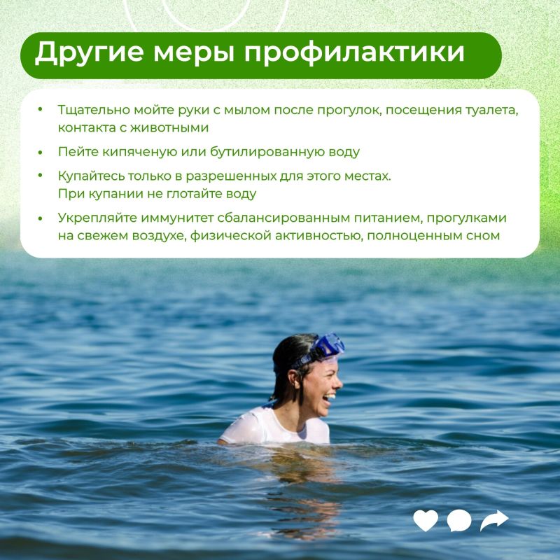 Летние месяцы приносят обилие ягод, фруктов, овощей и зелени Летние месяцы приносят обилие ягод, фруктов, овощей и зелени