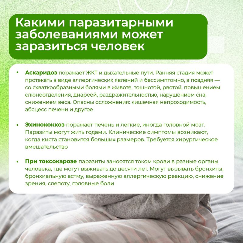 Летние месяцы приносят обилие ягод, фруктов, овощей и зелени Летние месяцы приносят обилие ягод, фруктов, овощей и зелени