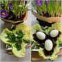 Салат-звезда: как сделать обед кулинарным искусством