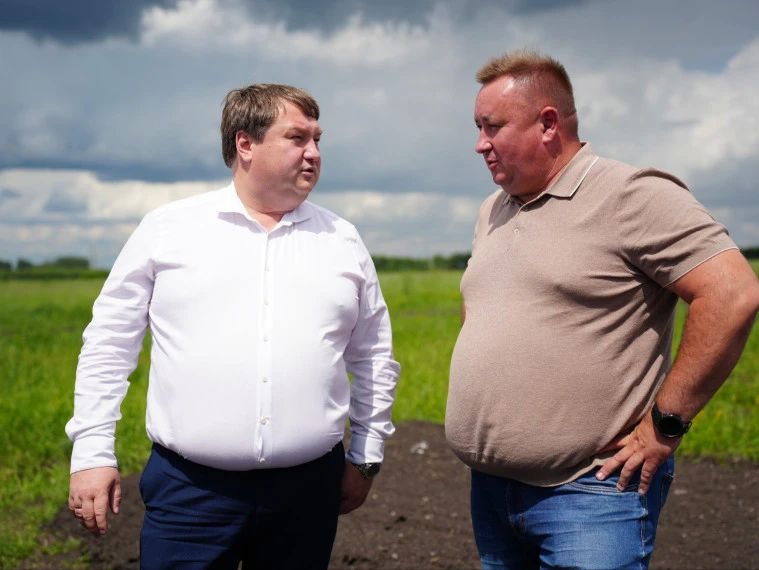 На новых участках кладбища «Северное» укрепят 2 км дорог На новых участках кладбища «Северное» укрепят 2 км дорог