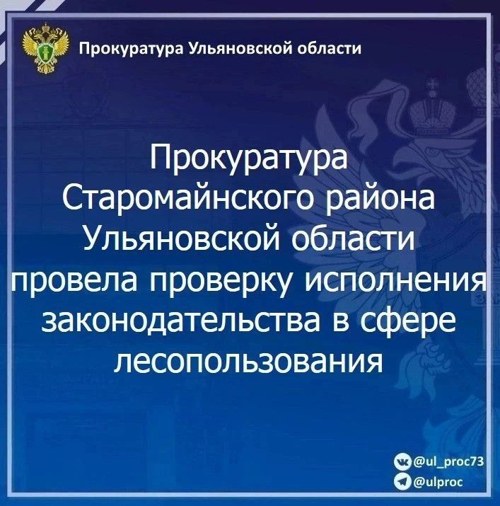Прокуратура г. Димитровграда проводит проверку исполнения законодательства о контрактной системе в сфере закупок товаров, работ, услуг для обеспечения государственных и муниципальных нужд Прокуратура г. Димитровграда проводит проверку исполнения законодательства о контрактной системе в сфере закупок товаров, работ, услуг для обеспечения государственных и муниципальных нужд
