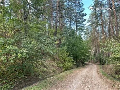 В Старомайнском районе арендатор ненадлежащем образом содержал лестной участок