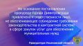 По результатам рассмотрения возбужденного прокурором города Димитровграда Ульяновской области дела об административном правонарушении по ч. 5 ст. 7.30.1 КоАП РФ (неразмещение информации и документов в нарушение порядка...