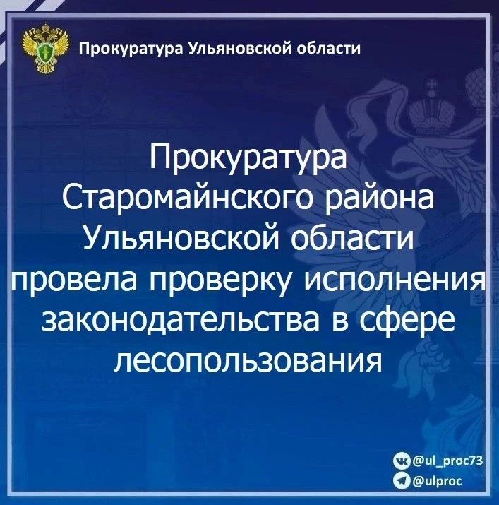 Установлено, что арендатором лесного участка ООО ЛПК «Забота о Лесе» не принимались меры к его надлежащему содержанию, а именно в границах лесных участков Кандалинского участкового лесничества отсутствовала противопожарная...