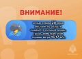 ВНИМАНИЕ. ожидается "желтый" уровень опасности: в период с 19 по 21 июня местами по области сохранится высокая пожарная опасность 4 класса