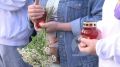 Утро доброе, друзья!. На календаре 22 июня — День памяти и скорби