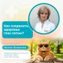 Минздрав рассказал том, как летом защитить глаза, какие игрушки опасны для глаз, когда нужно обратиться к врачу