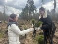 «Делаем жизнь лучше». Зачем Gislaved развивает корпоративное волонтерство