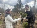 «Делаем жизнь лучше». Зачем Gislaved развивает корпоративное волонтерство