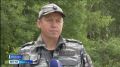 2 июля - Международный день собак