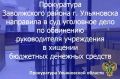 Прокурор Заволжского района г. Ульяновска утвердил обвинительное заключение и направил в суд уголовное дело в отношении жительницы областного центра
