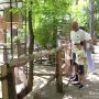 Настоящее летнее пополнение в Ульяновском зоопарке: +7 камерунских козлят, оленёнок, новые лисицы-корсаки, птенцы корелл учатся летать, а малыш игрунки уже ест сам! Дикобраз тоже подрос