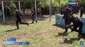 � ������ ���������������� ���������� ������������ ��� ������ ������������ �� ����������� ������ ����������� � ���������� ��������