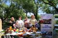 Более 160 тысяч ульяновцев сегодня отмечают День ТОСов
