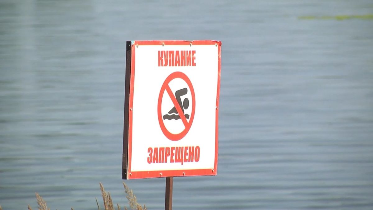 Напоминаем: в Ульяновске нет ни одного официального места для купания