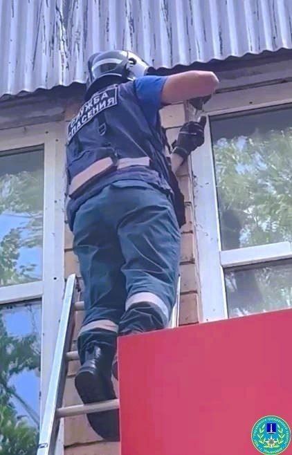 Спасатели помогли стрижу, который запутался в леске на высоте второго этажа Спасатели помогли стрижу, который запутался в леске на высоте второго этажа