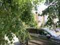 ������ ���� � �� ����� ������������� ����� ��� ����������, ��� ������ � �������