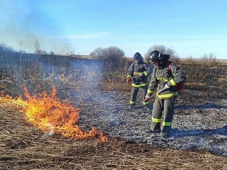 В Ульяновске сокращается количество пожаров
