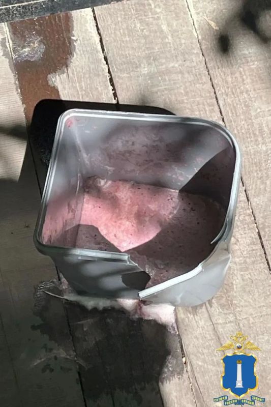 В Ульяновске полицейские задержали подозреваемого в краже дорогостоящего мороженого с алкоголем В Ульяновске полицейские задержали подозреваемого в краже дорогостоящего мороженого с алкоголем