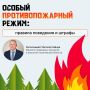 ����� ������� ���������� ������, ������ � ���� �������