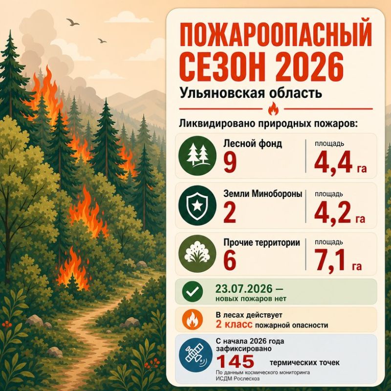 Большинство лесных пожаров происходит из-за людей