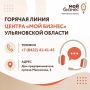 Для ульяновских продавцов Wildberries открыли «горячую линию»