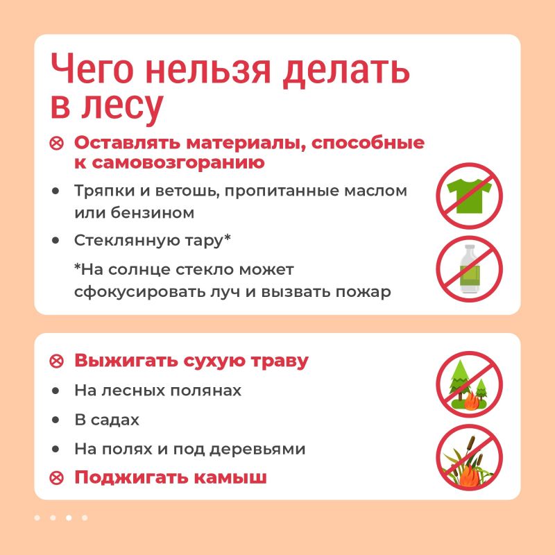 Лесные пожары легче предупредить, чем потушить Лесные пожары легче предупредить, чем потушить