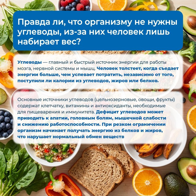 Мода на правильное питание, похудение не проходит, однако подходить к этому вопросу нужно с осторожностью Мода на правильное питание, похудение не проходит, однако подходить к этому вопросу нужно с осторожностью