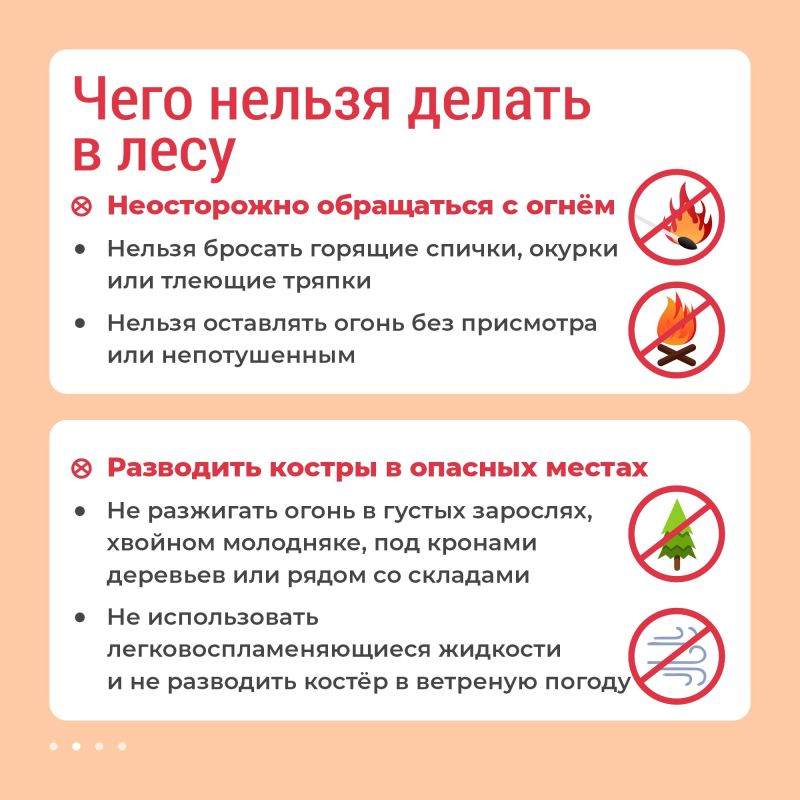 Лесные пожары легче предупредить, чем потушить Лесные пожары легче предупредить, чем потушить