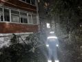 Ветер в Ульяновске повалил деревья и сорвал крыши