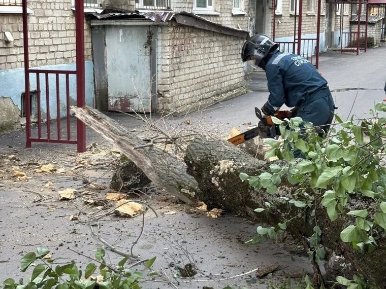 Шквалистый ветер в Ульяновске вызвал 46 инцидентов Шквалистый ветер в Ульяновске вызвал 46 инцидентов