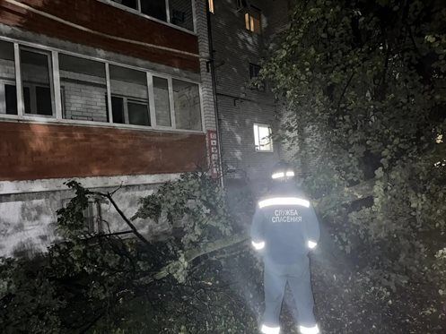 Ветер в Ульяновске повалил деревья и сорвал крыши