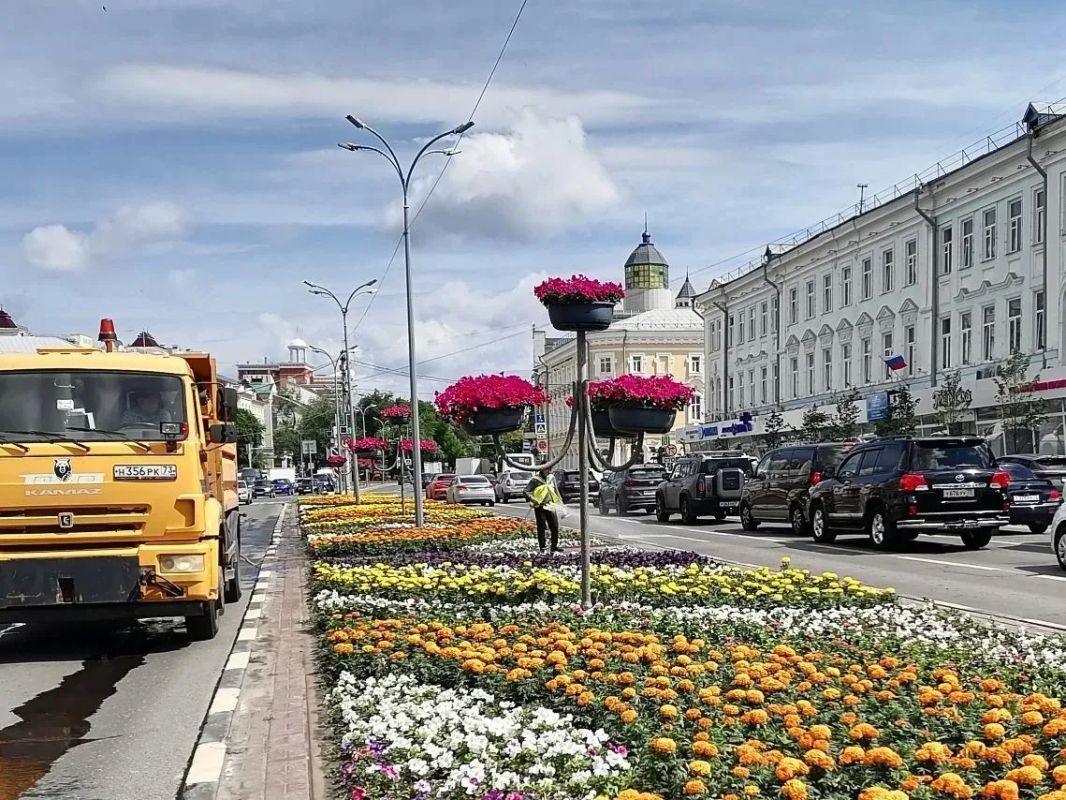 Горзеленхозу предложили воспользоваться возможностями ППМИ для вертикального озеленения улицы Гончарова