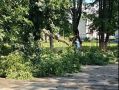 В Железнодорожном районе оперативно распилили и убрали упавшее возле школы № 47 дерево