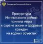 Прокуратура Мелекесского района провела проверку исполнения законодательства о водопользовании