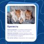За привычной речью часто скрываются неожиданные истории