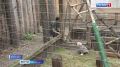 В Ульяновском зоопарке стараются создать семьи для каждого питомца