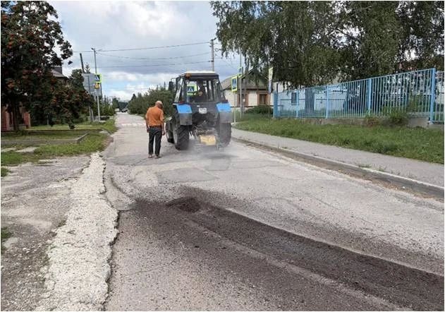 Ульяновский бульвар Новый Венец украсят двадцать двойных кашпо с цветочной рассадой Ульяновский бульвар Новый Венец украсят двадцать двойных кашпо с цветочной рассадой