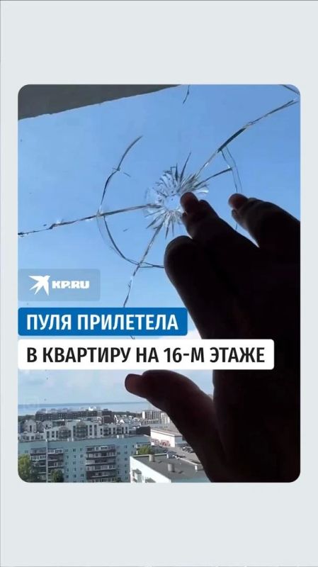 «Миля, нас хотели убить снайперской винтовкой»: в Ульяновске «пуля» пробила окно квартиры на 16-м этаже