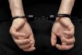 В Ульяновске задержаны мигранты, подозреваемые в нападении на девочку