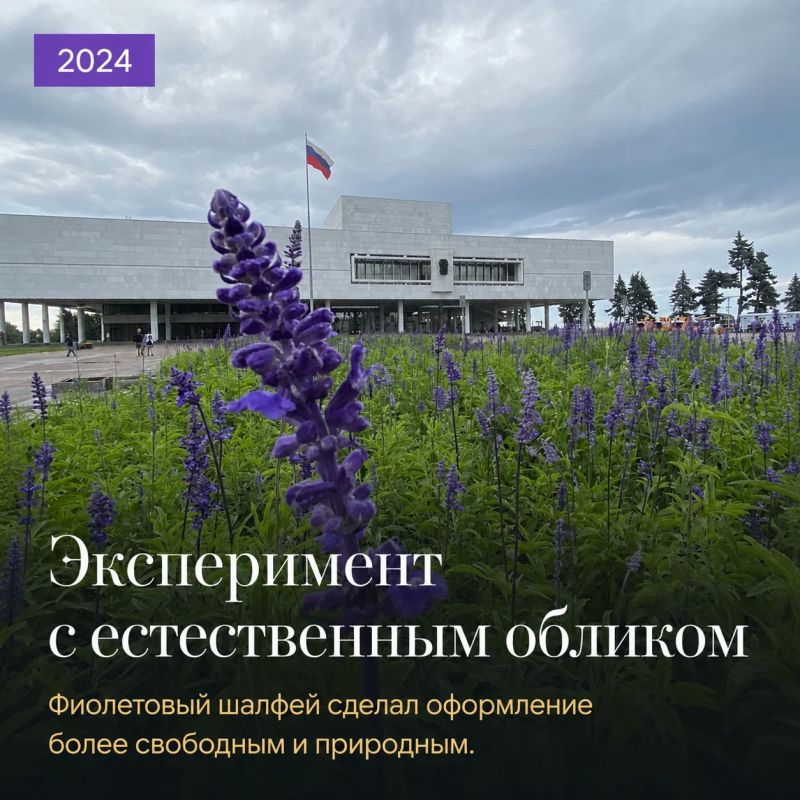 Площадь Ленина успела побыть красной, разноцветной и даже фиолетовой Площадь Ленина успела побыть красной, разноцветной и даже фиолетовой