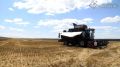 Для сельхозтоваропроизводителей Ульяновской области наступила ответственная пора – уже более двух недель в муниципальных образованиях региона идёт уборочная кампания