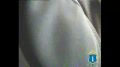 � ���������� ����� ������ ����������� � �������������� 14 ��������� ������ ��� ��������� ������������� ���������������