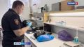 Завершено расследование дела участников межрегионального наркосообщества